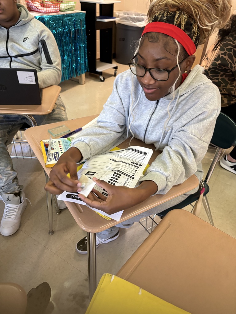 Mrs. Towles’s Earth and Space classes along with Ms. Edwards conducted a Properties of Minerals Lab.