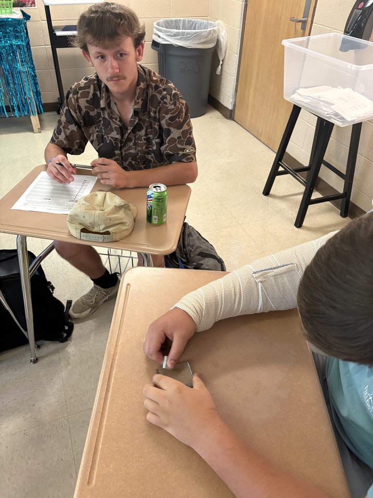 Mrs. Towles’s Earth and Space classes along with Ms. Edwards conducted a Properties of Minerals Lab.