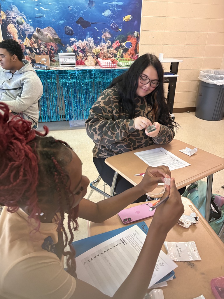 Mrs. Towles’s Earth and Space classes along with Ms. Edwards conducted a Properties of Minerals Lab.