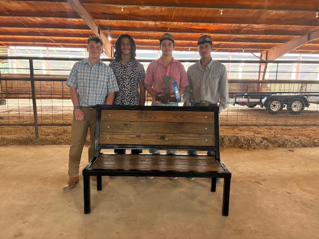 ffa team winners