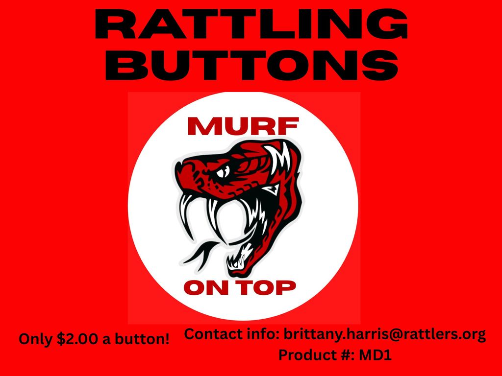 Mason and Drake button