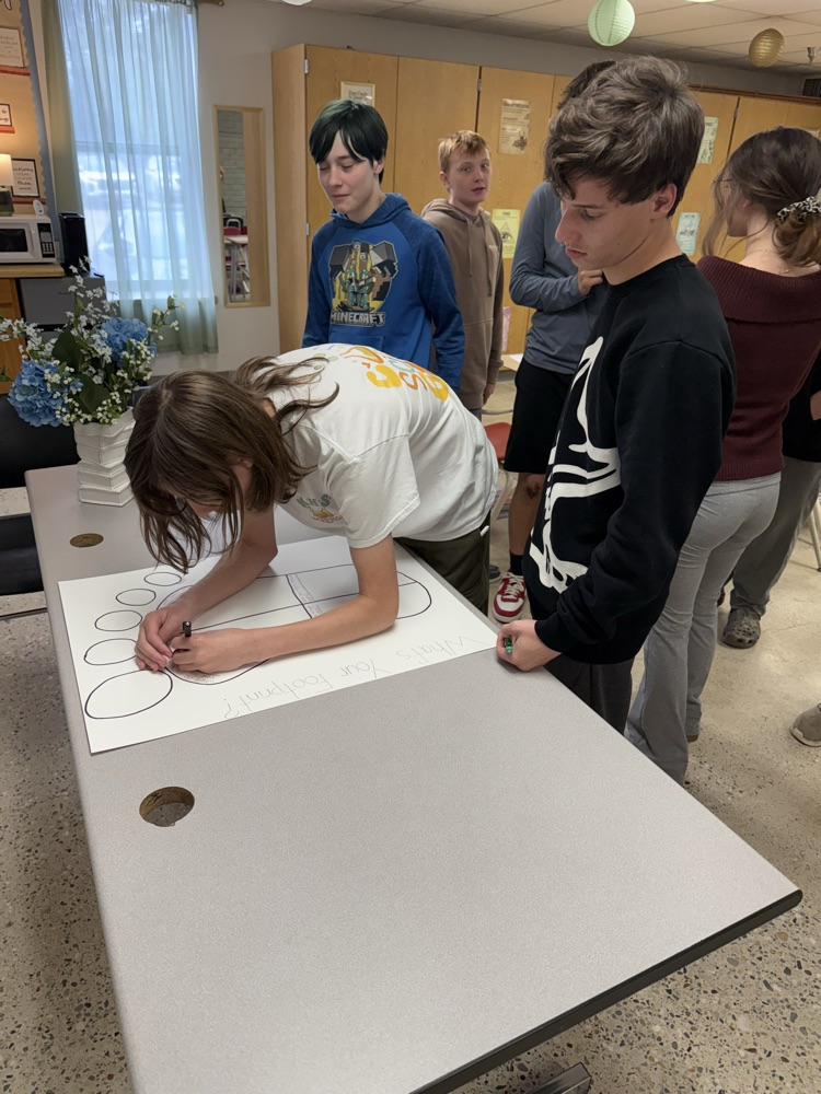 Student’s completing the activity.