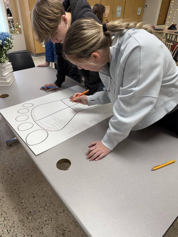 Student’s completing the activity.