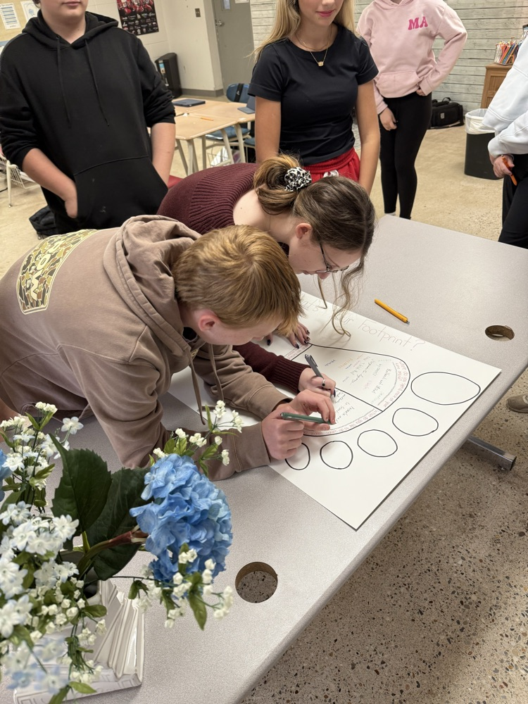 Student’s completing the activity.