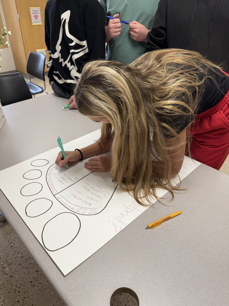 Student’s completing the activity.