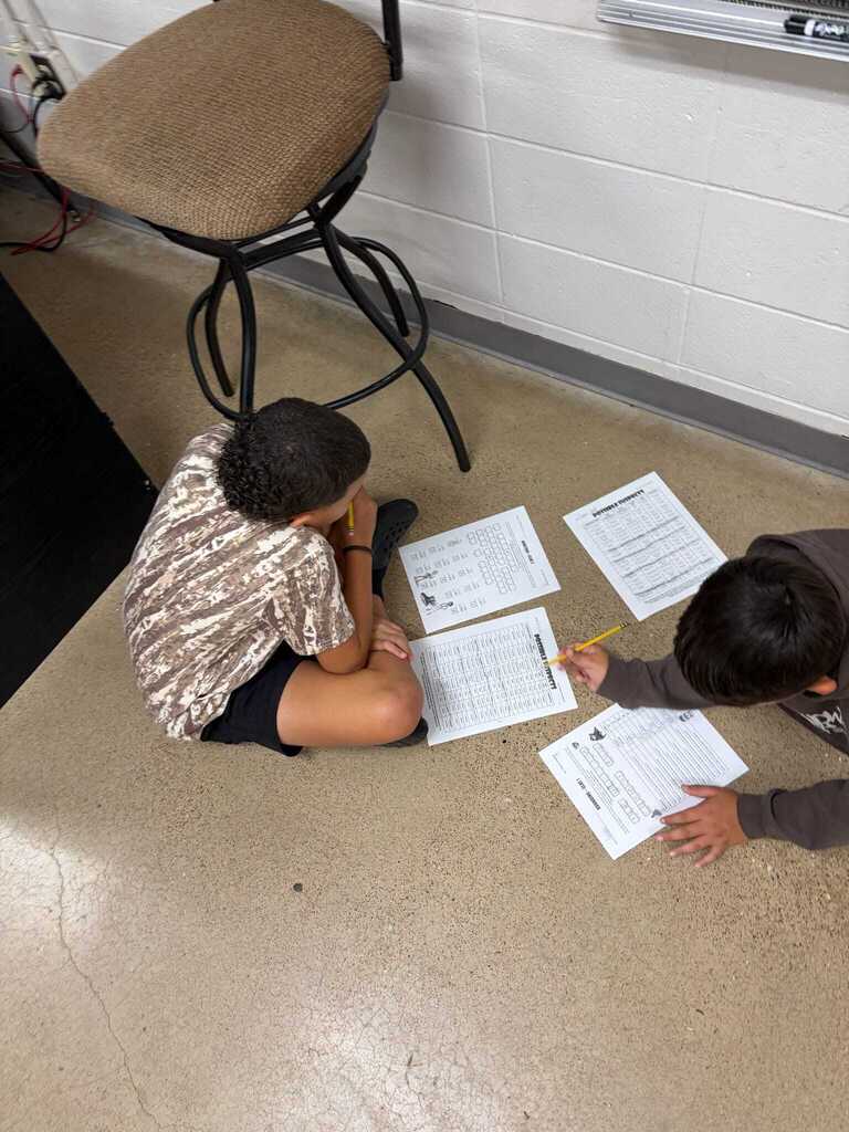 Math detectives