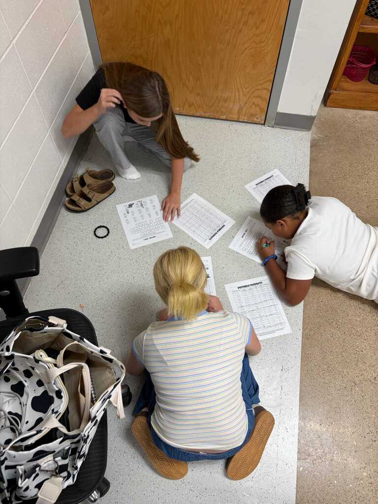Math detectives