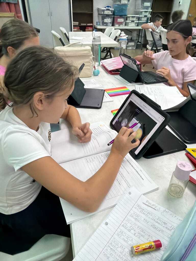 Discovering cells in 6th grade