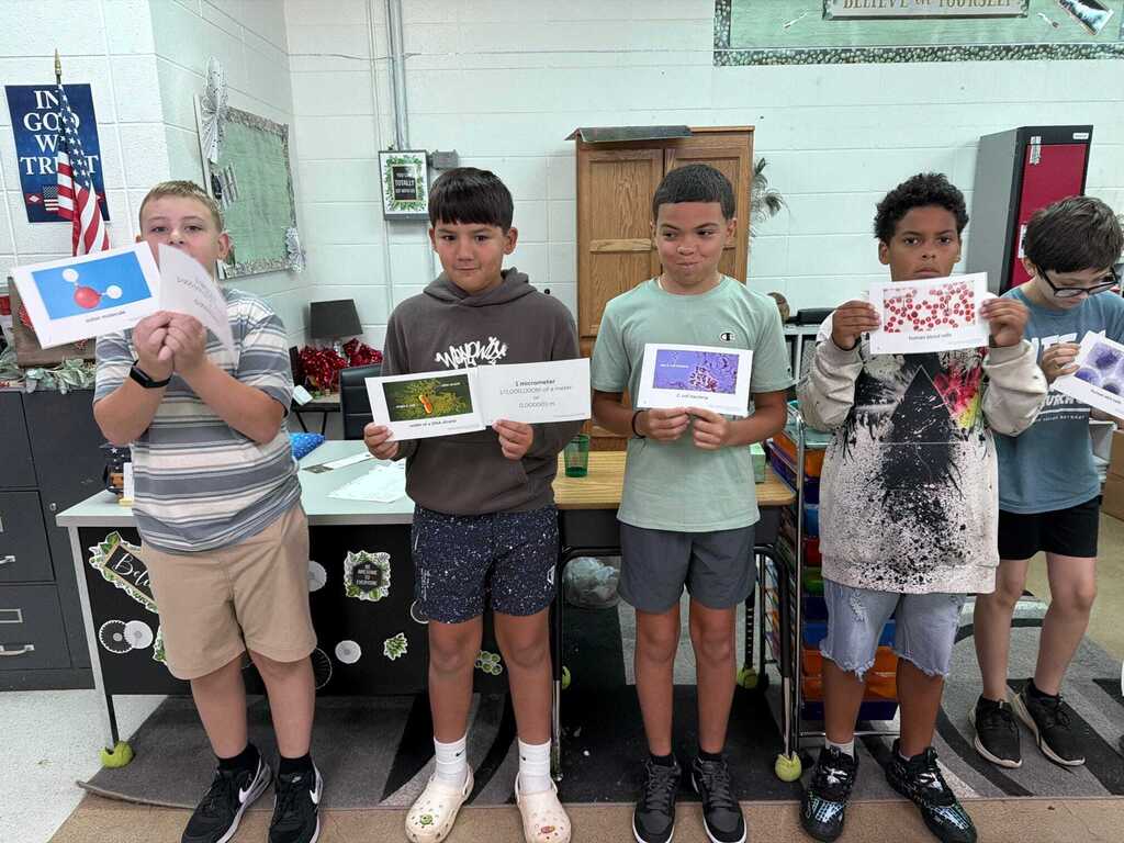 Discovering cells in 6th grade