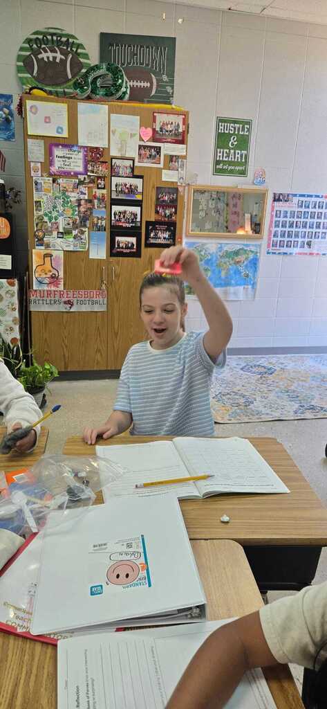 Magnetism in 3rd grade