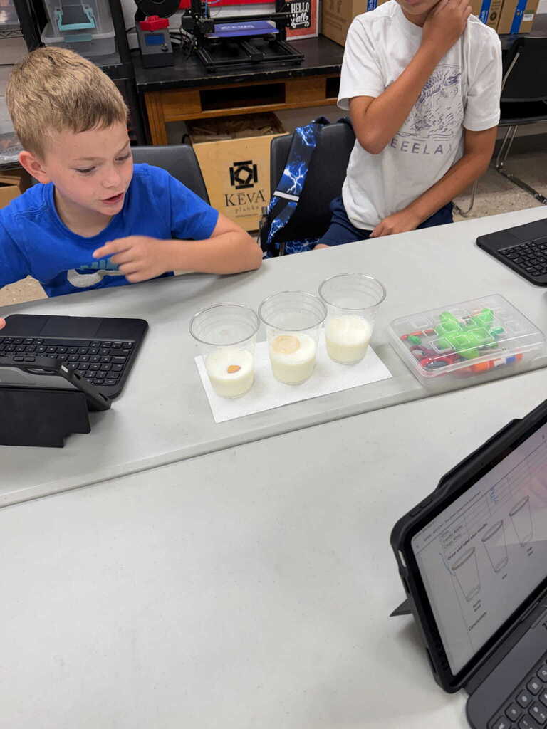 Cookie Dunk Experiment