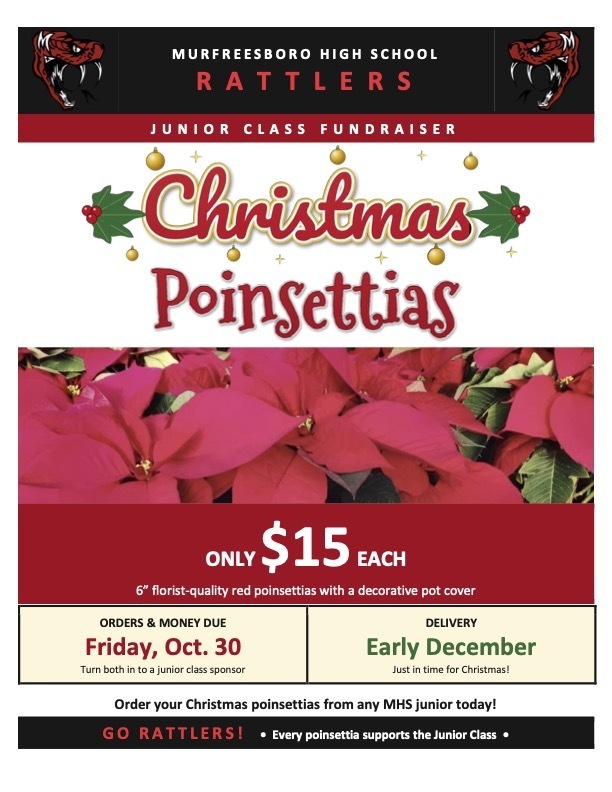 Poinsettias