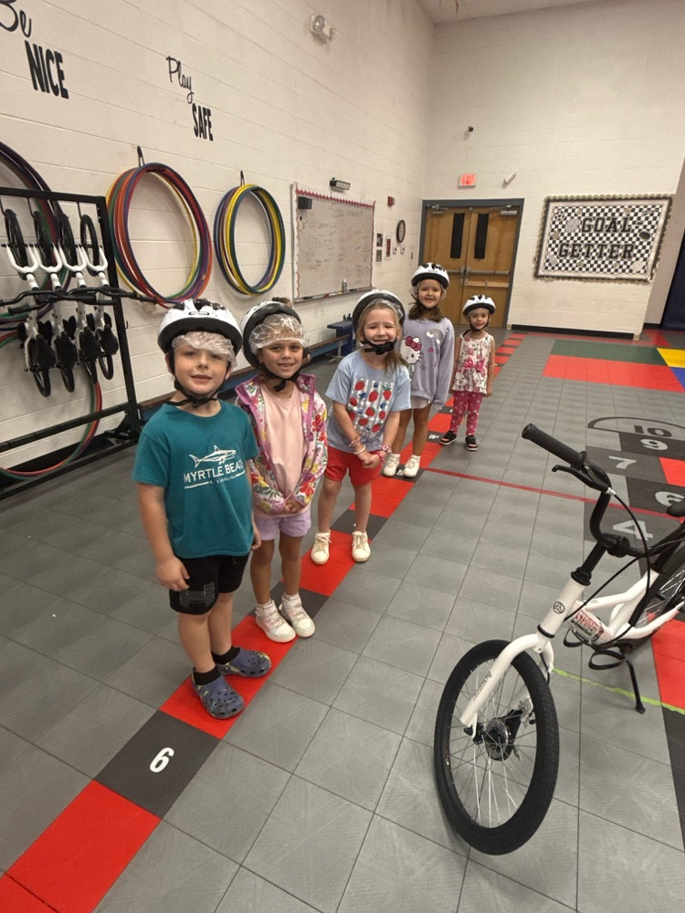 bikes
