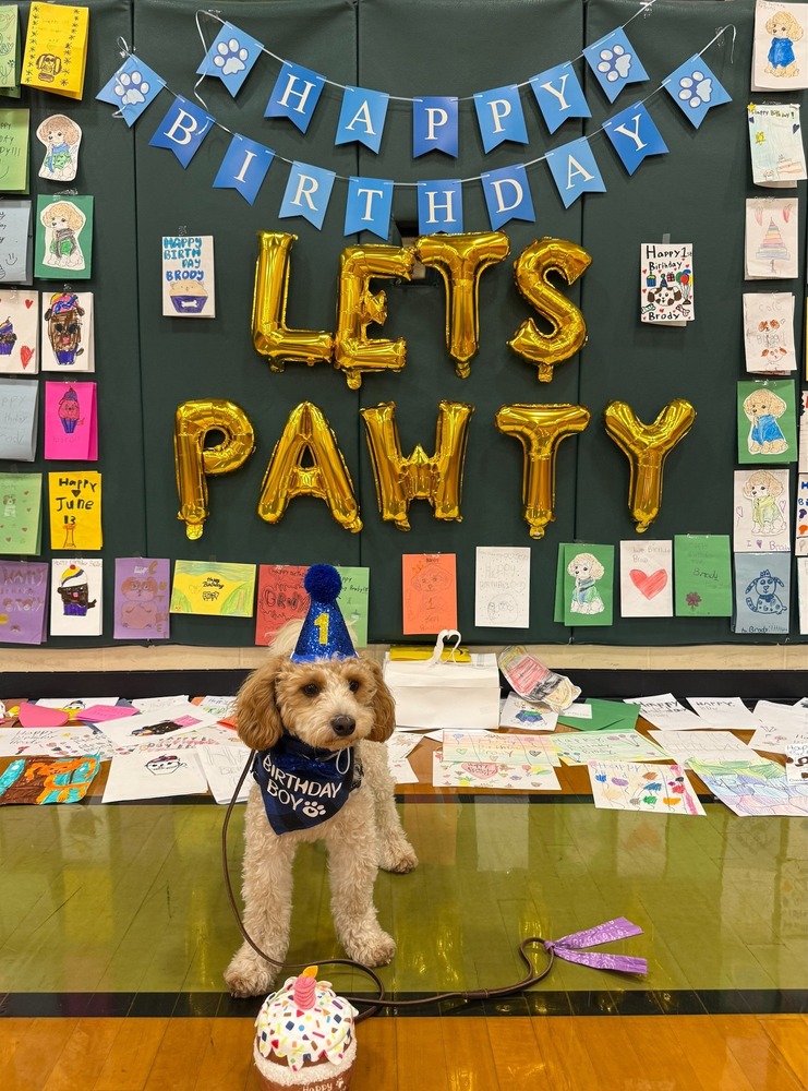 Brody's Birthday 1