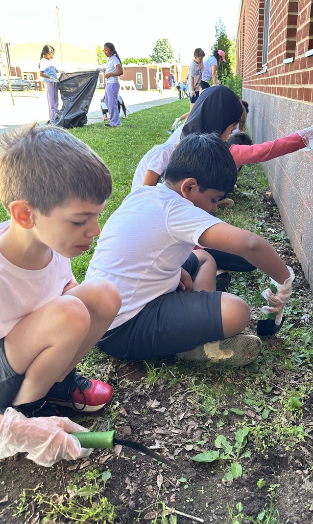 Day of Service 8