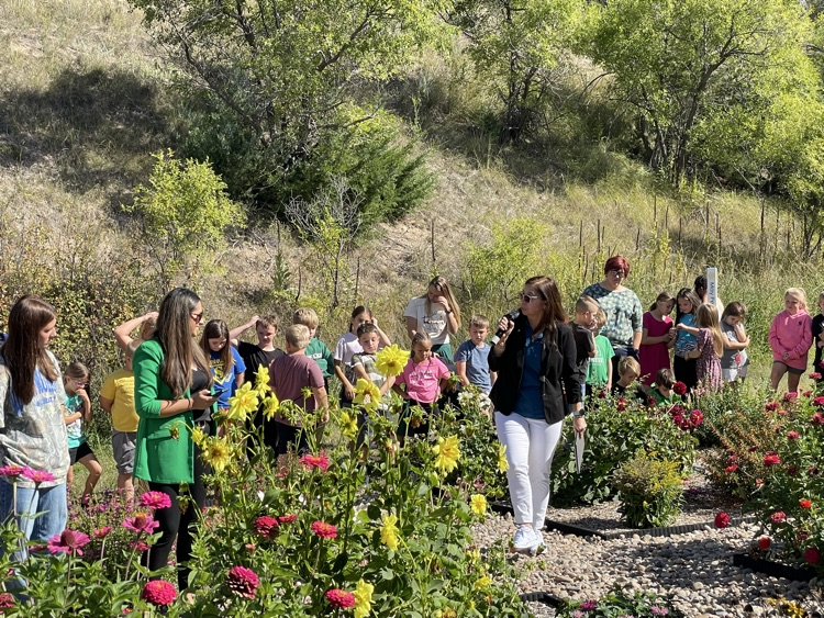 butterfly garden