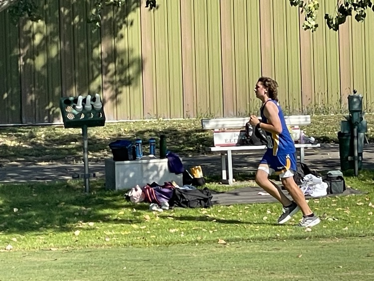 XC