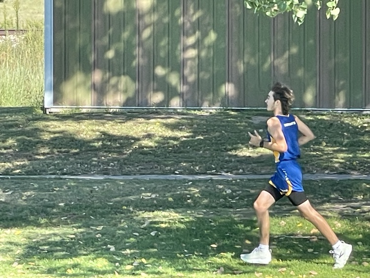 XC