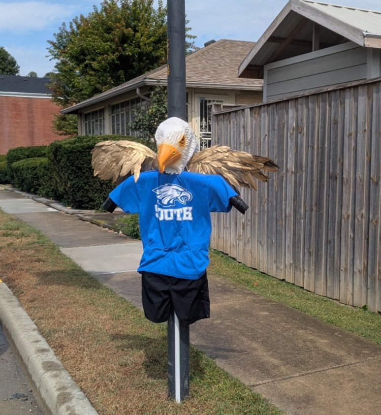 eagle
