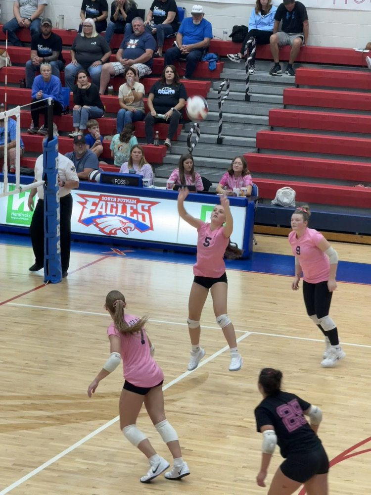 volleyball