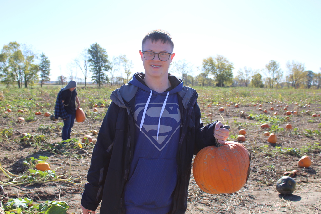 pumpkin2
