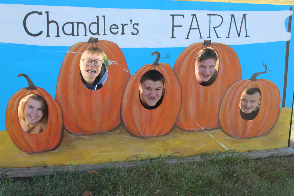 pumpkins