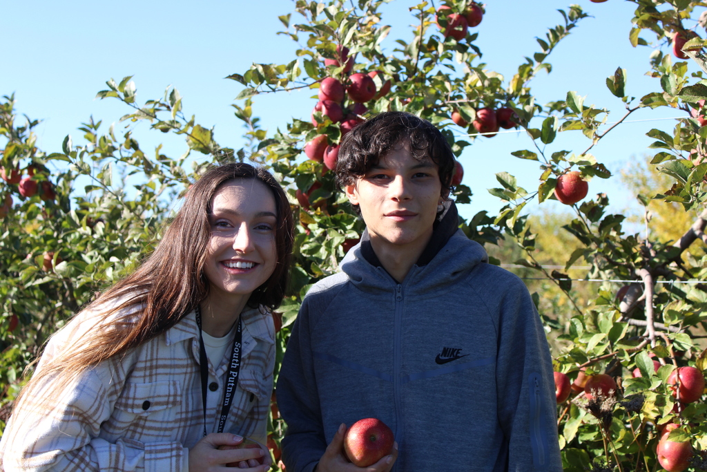 apples 2