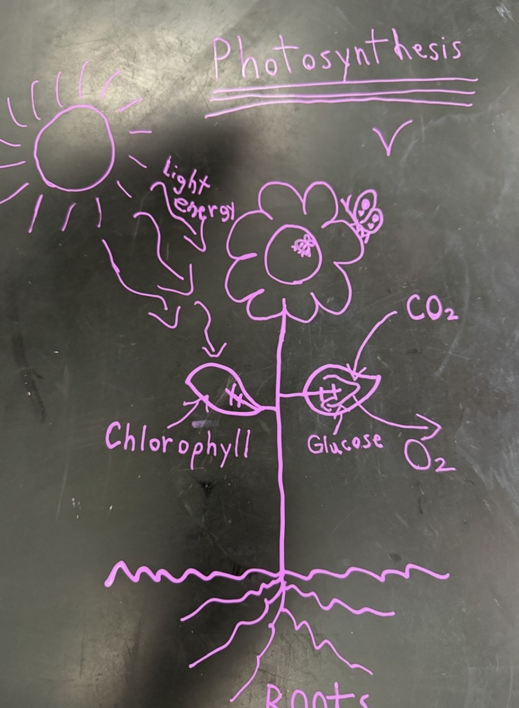 6th Grade Science