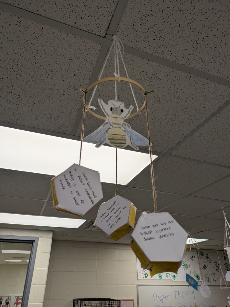 Bee Project