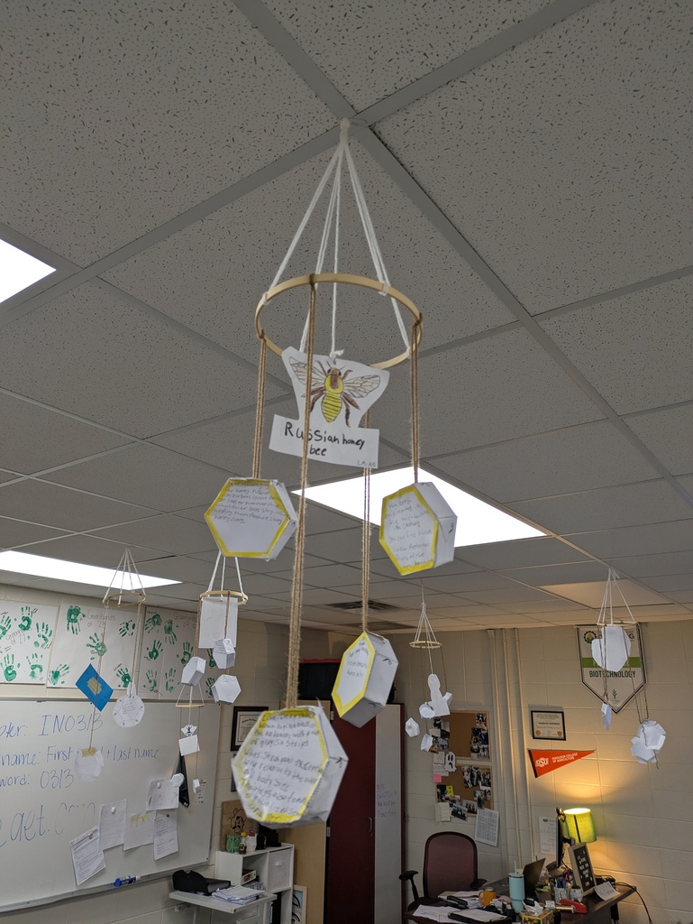 Bee Project