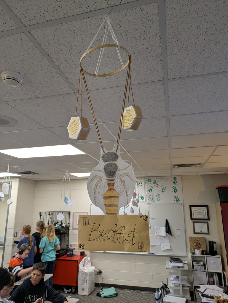 Bee Project