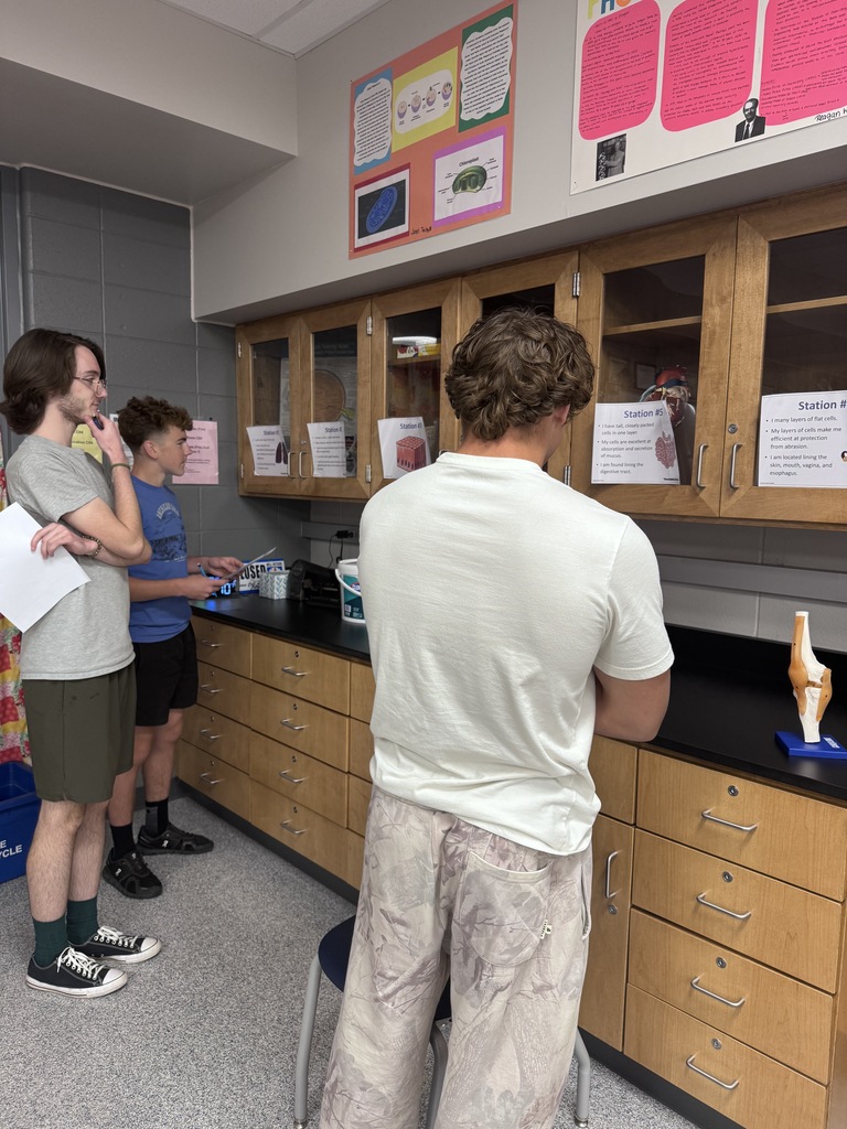 Anatomy & Physiology