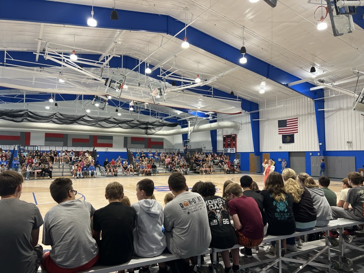 MS Assembly