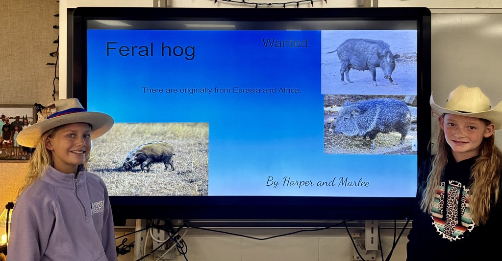 6th Grade Science