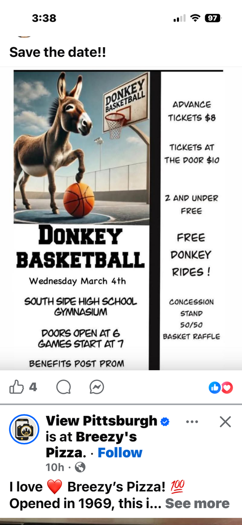 donkey basketball