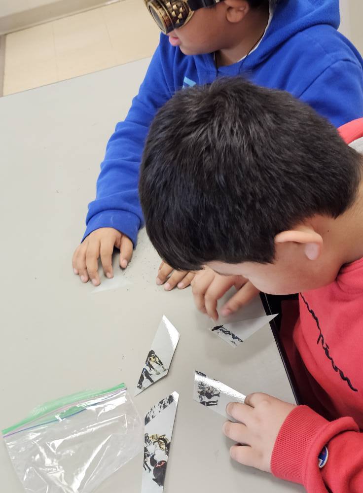 Idiatrod cardinal math challenge activities