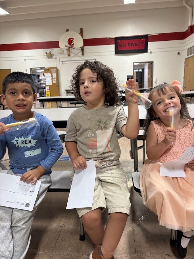 District Health Screens