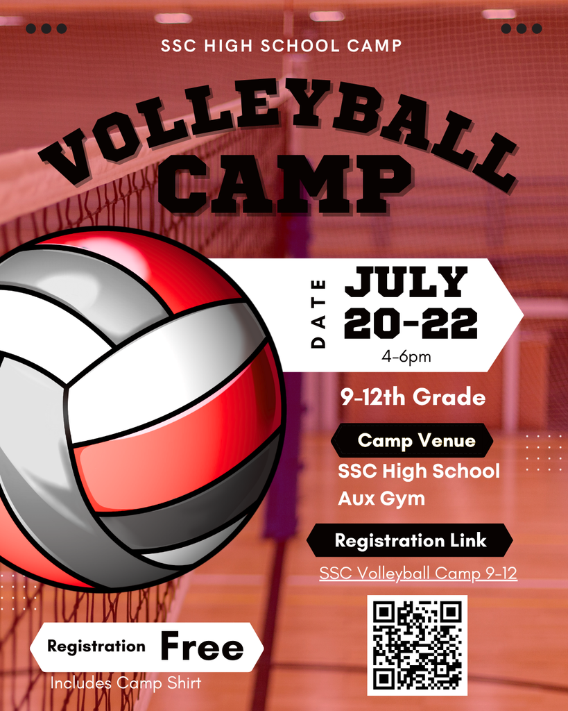 volleyball flyers