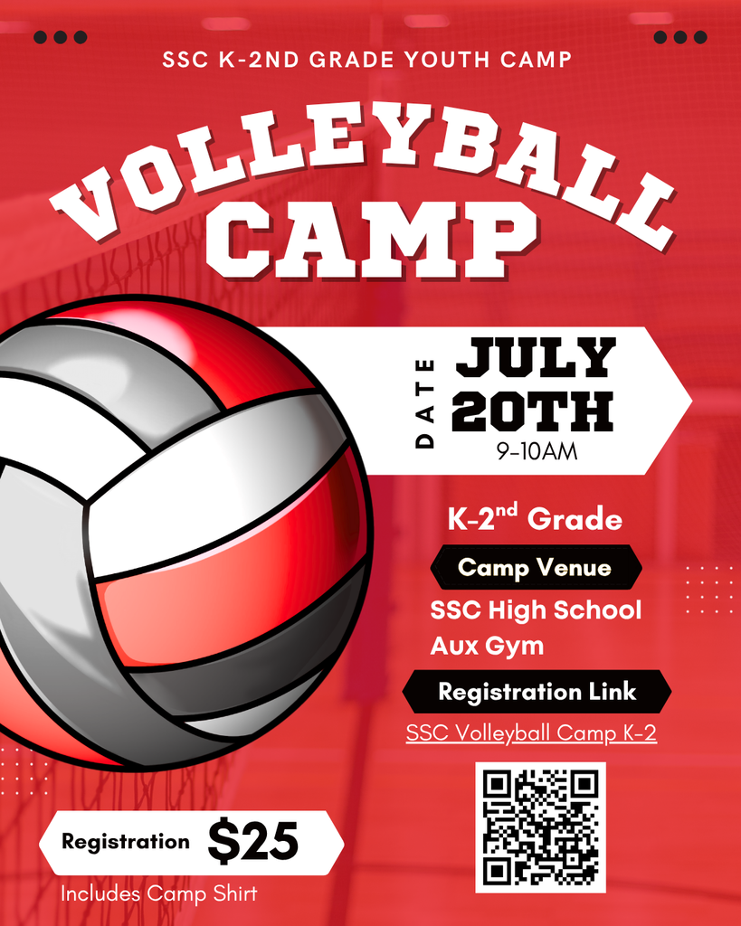 volleyball flyers