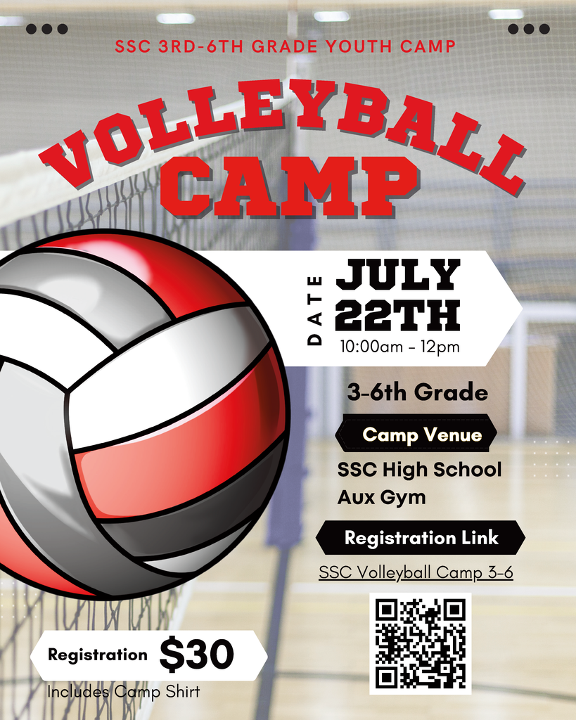 volleyball flyers