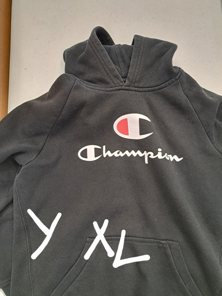 champion sweatshirt size youth xl