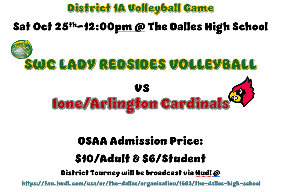 District 1A Volleyball Flyer