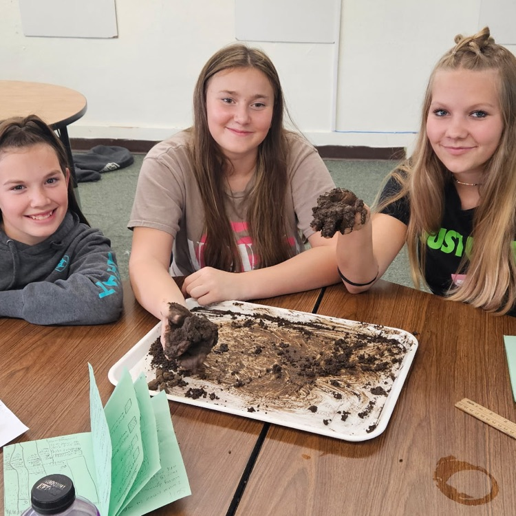 soil sample