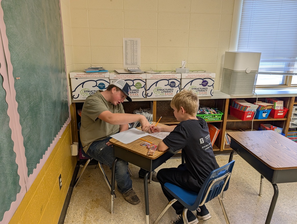Peer Tutor