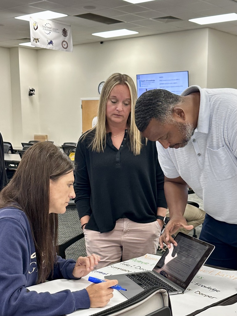 DOK Professional Development