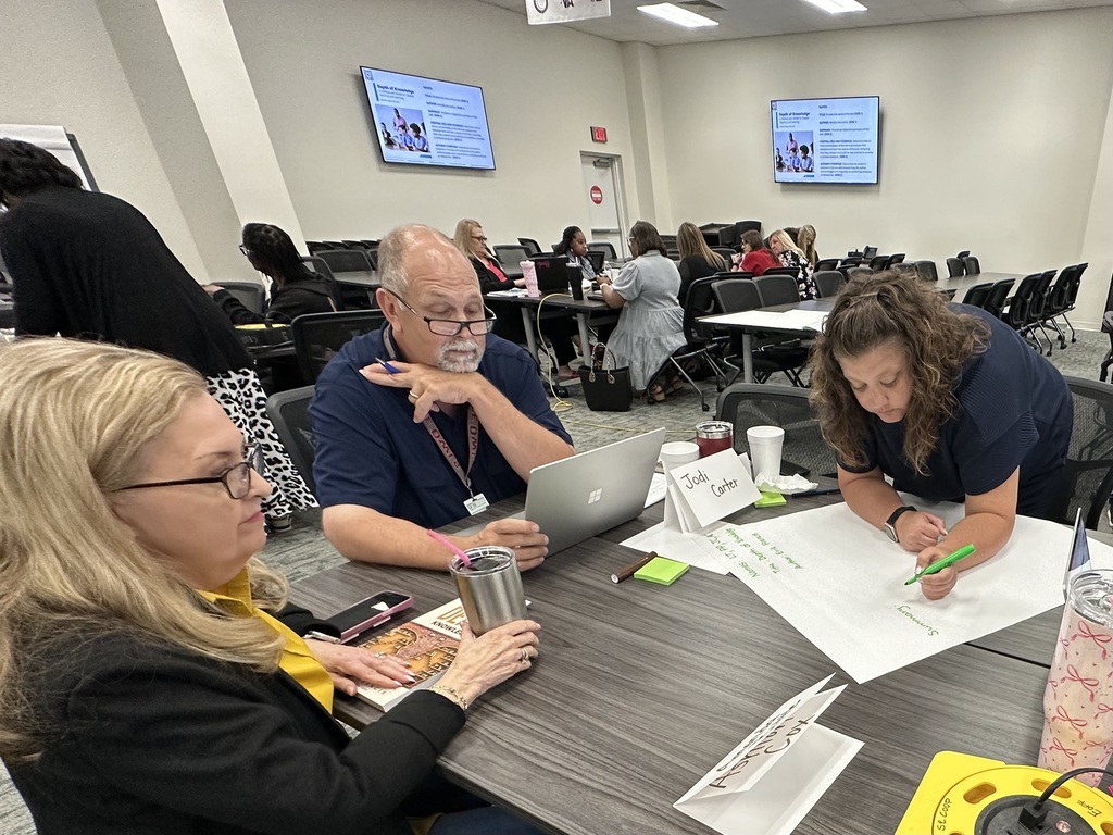 DOK Professional Development