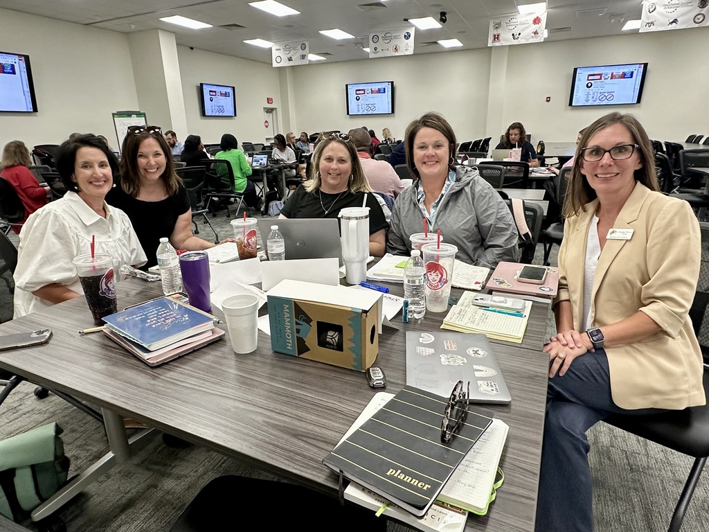 DOK Professional Development