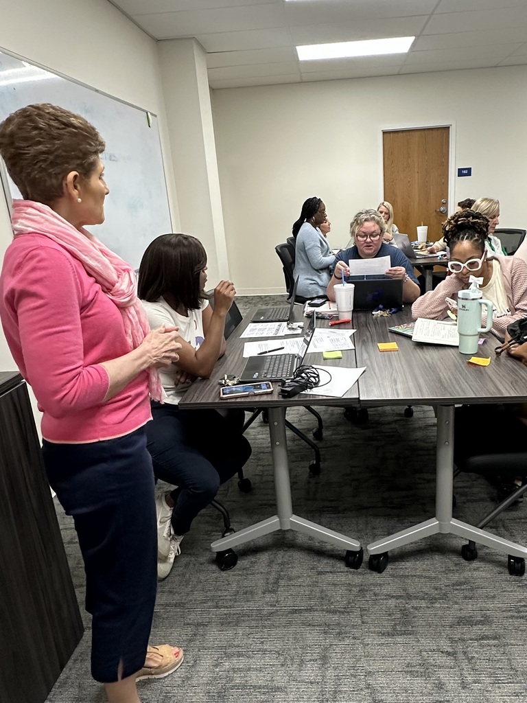 Successful Outcomes for all Students Professional Development