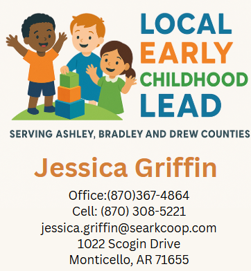 Local Early Childhood Lead