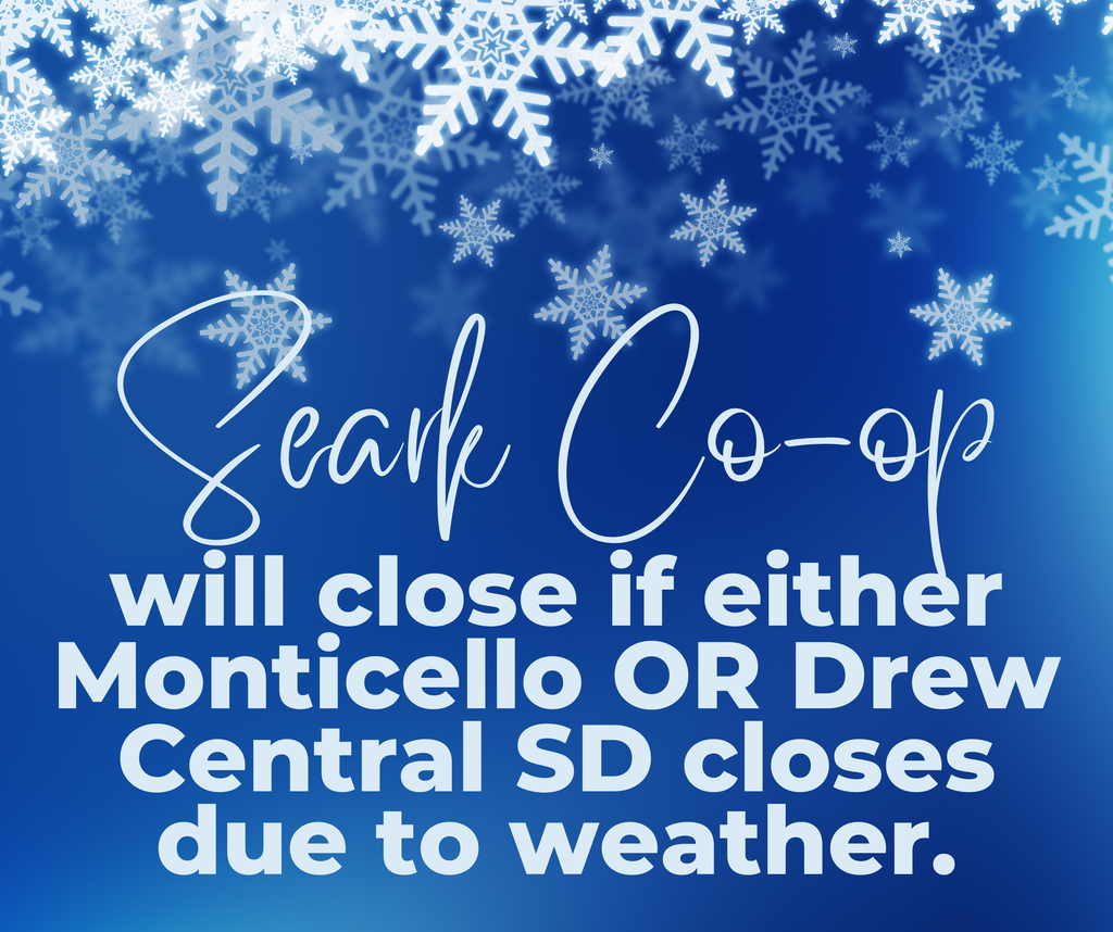 Winter weather closure policy